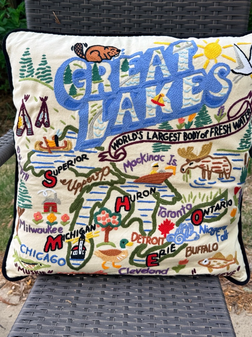 CatStudio Great Lakes Hand Embroidered Organic cottonPillow - Cream & Multicolor